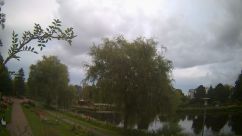 Rosarium Webcam