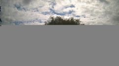 Rosarium Webcam
