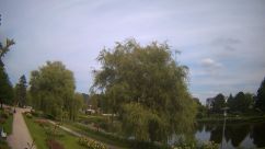 Rosarium Webcam