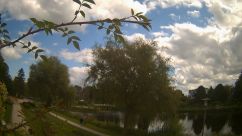 Rosarium Webcam