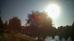 Rosarium Webcam