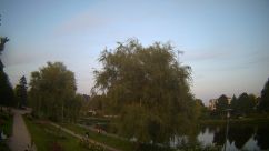 Rosarium Webcam