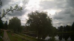 Rosarium Webcam