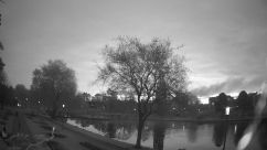 Rosarium Webcam