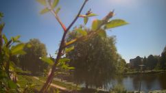 Rosarium Webcam