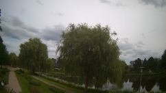 Rosarium Webcam