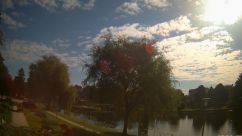 Rosarium Webcam