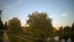 Rosarium Webcam