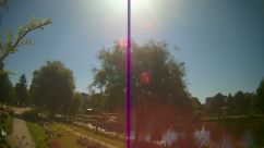 Rosarium Webcam