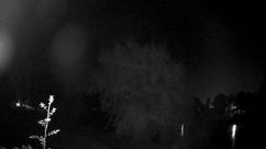 Rosarium Webcam