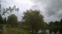 Rosarium Webcam