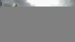 Rosarium Webcam