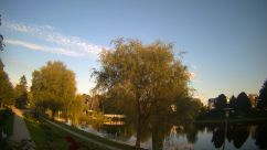 Rosarium Webcam