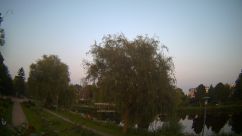 Rosarium Webcam