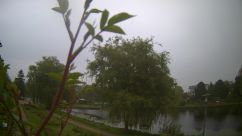 Rosarium Webcam