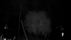 Rosarium Webcam