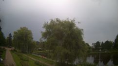 Rosarium Webcam