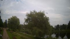Rosarium Webcam