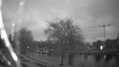 Rosarium Webcam