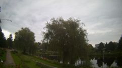 Rosarium Webcam
