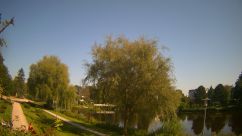 Rosarium Webcam