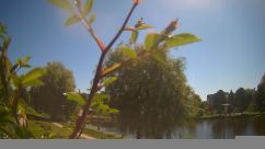 Rosarium Webcam