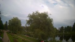 Rosarium Webcam