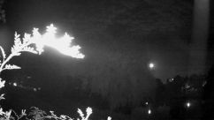 Rosarium Webcam