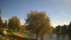 Rosarium Webcam
