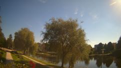 Rosarium Webcam