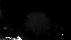 Rosarium Webcam
