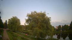 Rosarium Webcam