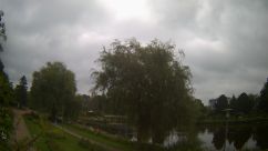 Rosarium Webcam