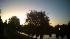 Rosarium Webcam