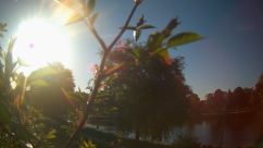 Rosarium Webcam