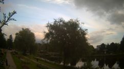 Rosarium Webcam