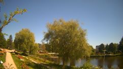 Rosarium Webcam