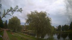 Rosarium Webcam