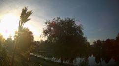 Rosarium Webcam