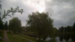 Rosarium Webcam