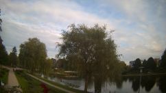 Rosarium Webcam