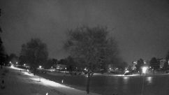 Rosarium Webcam