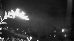 Rosarium Webcam