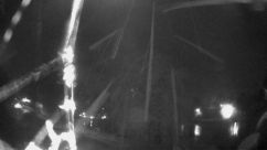 Rosarium Webcam