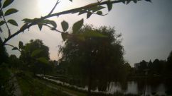 Rosarium Webcam