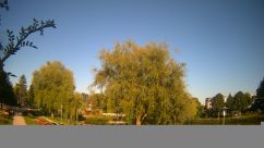 Rosarium Webcam