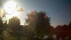 Rosarium Webcam