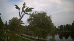 Rosarium Webcam