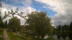 Rosarium Webcam