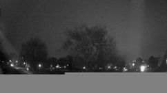Rosarium Webcam